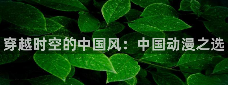 无颜之月樱花动漫在线观看免费版：穿越时空的中国风：中国动漫之选