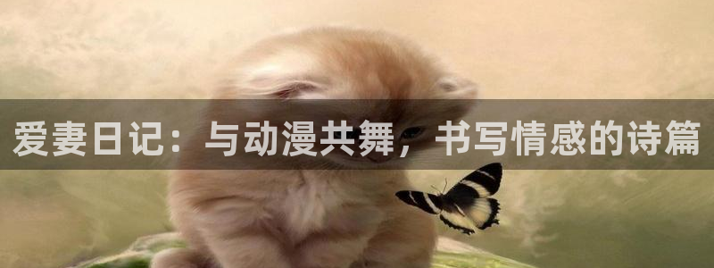 从零开始的异世界第二季樱花动漫：爱妻日记：与动漫共舞，书写情感的诗篇