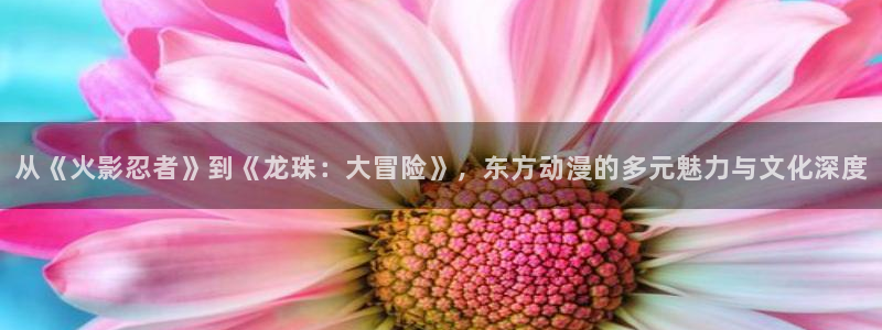 樱花动漫imo：从《火影忍者》到《龙珠：大冒险》，东方动漫的多元魅力与文化深度